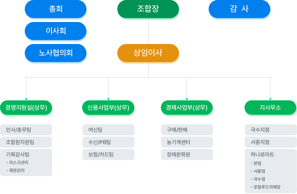 조직도